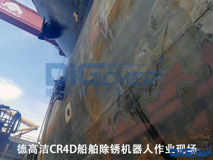 德高潔CR4D船舶除銹機(jī)器人作業(yè)現(xiàn)場(chǎng)